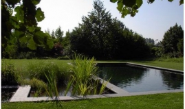 აუზის პროექტი 5